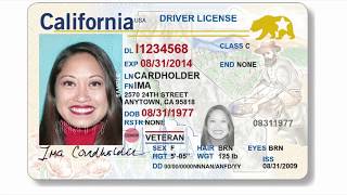 Learn about Veteran status ID/Drivers License benefits