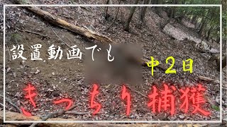 #67【設置動画のその後】きっちり獲物捕獲