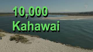 10,000 kahawai - and I never caught any!