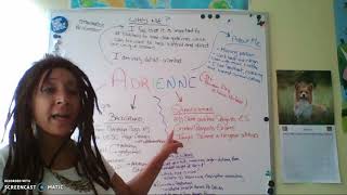Standards Alignment Interview Video