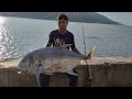 Strike Nusantara Angler Strike GT 30KG | Gorontalo