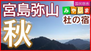 宮島 弥山 秋(弥山登山道 紅葉谷コース 大聖院コース 大元コース 旅行 観光 宿泊 大元公園 国民宿舎みやじま杜の宿 ホテル 旅館 広島 廿日市 世界遺産 登山 安心安全 豊かな自然 530125)