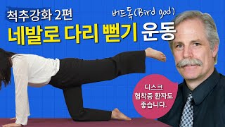 [연세사랑병원] 허리에좋은운동 2편, 디스크/협착증 환자라면 벽에 붙어서 해주세요!