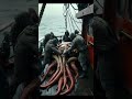 soul stealer of the deep the haul of terror giant sea monsters caught by fishermen fishing sea