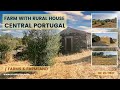 🌾 Cheap FARM for Sale / Rural HOUSE, Well, Olive Grove / Central Portugal | Unavailable