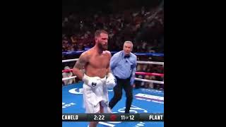 САУЛЬ АЛЬВАРЕС КАЛЕБ ПЛАНТ ВИДЕО НОКАУТА! Canelo Alvarez vs Caleb Plant saw the knockout