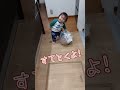 《1歳3ヶ月》笑顔　可愛い　ママのお手伝いするよ 日常 成長 子供 1歳児 shortvideo 癒し 癒し あかちゃんのいる生活 ショート 育児 short shorts 赤ちゃん 親子 成長記録