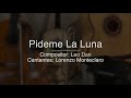 Pideme La Luna - Puro Mariachi Karaoke - Lorenzo Monteclaro, Leo Dan