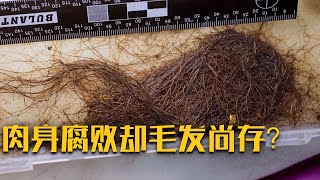 大量动物陪葬 墓主是个“吃货”？肉身腐败却毛发尚存？透过骸骨曾经的疾病伤痛逐渐清晰……《考古手铲下的“谜案”》（二）| 中华国宝