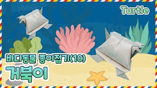 [조이쌤과 함께하는 즐거운 종이접기 교실] 거북이 종이접기｜72｜거북이 turtle