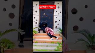 আমার টিনের ঘরে আকাশ থেকে নামছে পরীরে #funny #comedy #trending #song #shortvideo #viralvideo #shorts