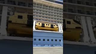 Royal Caribbean Ovation of the Seas Cruise Ship⛴⚓ in Mangalore Port.Video.16