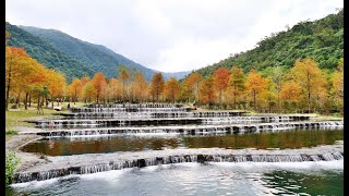 [宜蘭]三層坪落羽松 空拍記行