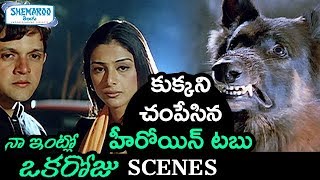 Tabu Ends Dog's Life | Naa Intlo Oka Roju Telugu Movie Scenes | Tabu | Hansika | Shemaroo Telugu