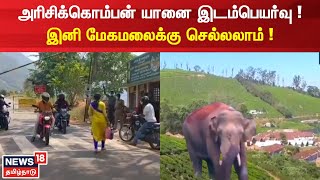 Theni | அரிசிக்கொம்பன் யானை இடம்பெயர்வு! இனி மேகமலைக்கு செல்லலாம்! | Arikomban | Megamalai #Local18