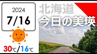 今日のびえい！北海道-美瑛町の風景を毎日発信中｜2024.7.16.