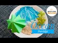 Ocean Porridge | Healthy Porridge | Ocean Oats | Weight loss recipe | Saya's Tips