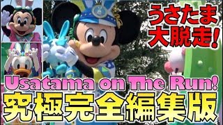 ºoº [ 究極・完全編集版 ] TDL 東京ディズニーランド うさたま大脱走！パレード Tokyo Disneyland USATAMA On The Run!