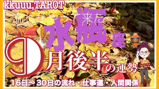 水瓶座♒さん【9月後半の運勢✨️16日〜30日の流れ・仕事運・人間関係】導かれている👉#直感リーディング #タロット占い #2023