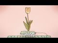 The Chainsmokers - Honest (VIRTU Remix)