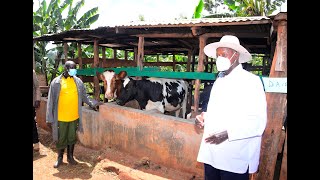 PRESIDENT MUSEVENI VISITS SEBEI SUBREGION FARMERS IN BUKWO