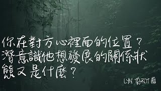 🫧LYN tarot藺🫧【CC字幕】你在對方心裡面的位置？對方想發展的關係狀態又是什麼？🌹無時間關係限制🌹#timeless #tarotreading #healing #內心想法#潛意識