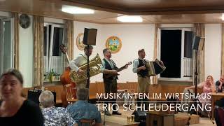 Musikanten im Wirtshaus mit Trio Schleudergang