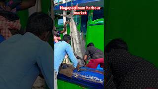 Nagapattinam harbour market #trending #bigfish #foodvideos #viralfood