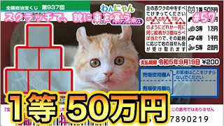 【わんにゃんスクラッチ キンカロー トライアングルチャンス】1等50万円目指して削ってみた！！【猫】【宝くじ】