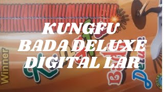 Kungfu Bada Deluxe | Karpagaraja Fireworks | Crackers Show Time | CST | Digital Lar | 1000wala |