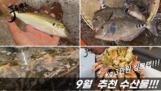 9월의  수산시장..어떤 수산물들이  좋을까요??? [9월 추천 수산물]