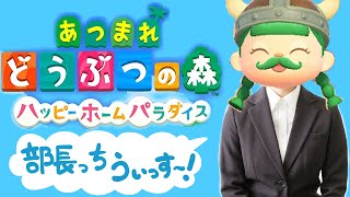 あつ森ハピパラ「あたち社会人いちねんせい！」（35歳男性）