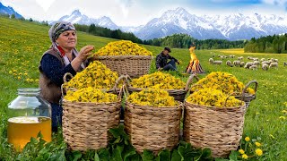🌶 Nature's Sweetness: Preparing Dandelion Syrup in the Mountains | ASMR video