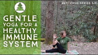 20 Minute Gentle Yoga Twists Sequence for A Healthy Immune System