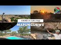 【南アフリカ】世界遺産マプングブエ‐mapungubwe‐ vlog