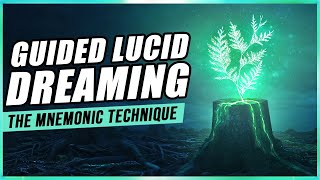 Lucid Dreaming: The MILD Technique