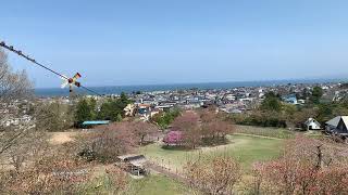 龍笛で吹いてみた　桜坂