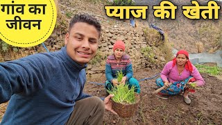 पहाड़ों में प्याज की खेती करने का तरीका | Uttarakhandi villagers lifestyle video | RTK Vlogs