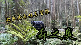 軍風阿元｜絕美森林系露營區｜侘寂桌｜SAWADA 沢田帳｜ 森之奧預告片