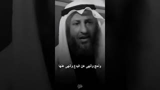 ناقشني في ديني رسالة #أسد_السنة للشيعة