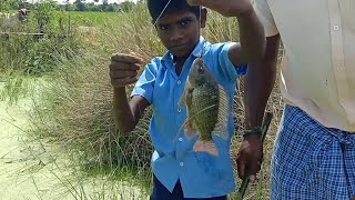 Fishing in the village lake|கிராமத்து ஏரியில் மீன் பிடித்தல்