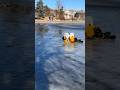 Colorado firefighters save dog from icy lake