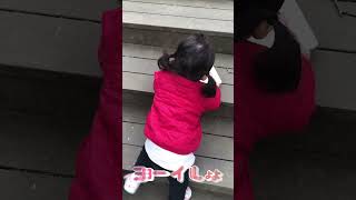 【1歳7ヶ月】階段登る時のかけ声が堪らないサラちゃん👶 #1歳児 #子育て記録 #かけ声が可愛い #頑張る姿