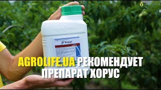 Хорус- Эффективная борьба с заболеваниями растений | Agrolife.ua рекомендует