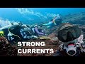 How to dive in strong currents - Tips for success and safety