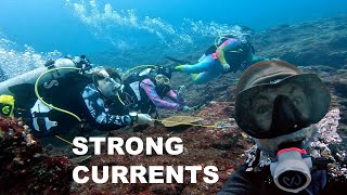 How to dive in strong currents - Tips for success and safety
