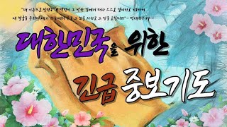 [긴급]대한민국을 위한 1시간 중보기도/나라와 민족을 위한 기도/주님! 대한민국을 살려주옵소서!/Intercessory prayer for the Republic of Korea