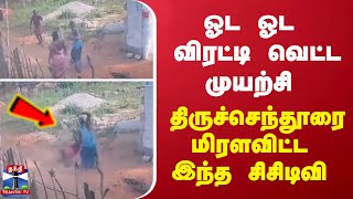 ஓட ஓட விரட்டி வெட்ட முயற்சி - திருச்செந்தூரை மிரளவிட்ட இந்த சிசிடிவி