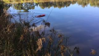 Fast rc boat tfl rocket