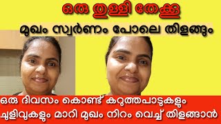 ഒരു ദിവസത്തിനുള്ളിൽ മുഖം തിളങ്ങും | Skin brightening face pack/Face pack for glowing skin